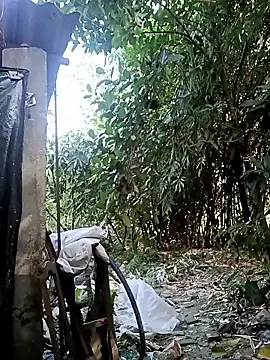 Hotty-rosni online show from November 20, 3:40 am