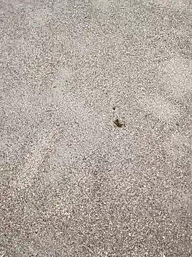 sarahkat86 online show from September 23, 4:38 pm