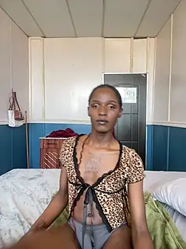 Trans fairy online show from February 28, 1:21 pm