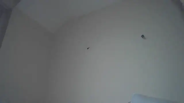 str8matesirishoz online show from October 15, 4:04 am