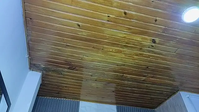 Bonnali lune online show from April 19, 4:45 am