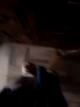 sanu 07 online show from September 9, 7:08 am