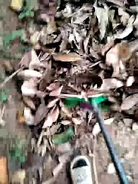 PhamPm70 online show from December 4, 12:46 am