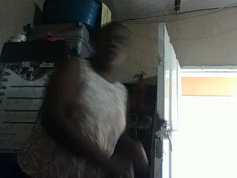 chocolateboobs92 online show from October 29, 10:30 am