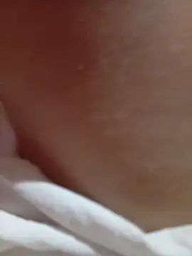 NoHA 66 online show from November 1, 11:36 am