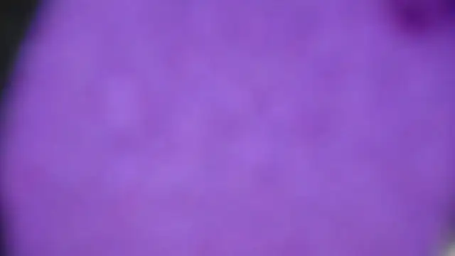 MiahLove3x online show from October 24, 4:19 am