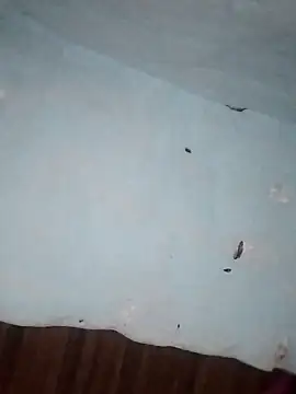 Rakhi j online show from February 1, 2:21 am