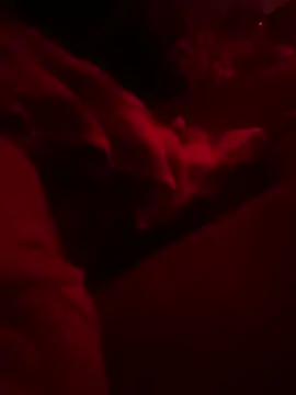 thechubbyteen online show from October 3, 9:09 pm