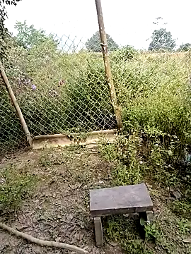 rubi bae online show from October 30, 7:11 am