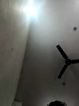 Appypie online show from December 15, 5:34 am