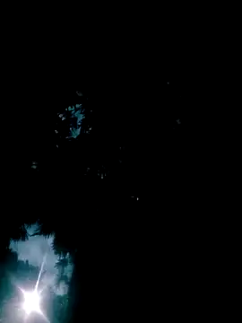 Lisa pusy online show from October 22, 10:37 pm