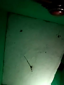 Sapna9685 online show from November 11, 3:31 pm