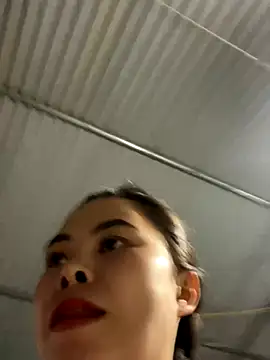 han-cute online show from November 1, 4:16 am