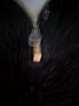 Ahalm online show from February 28, 11:48 pm