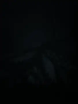 xxminou online show from July 2, 2:44 am