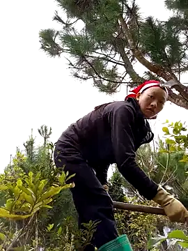 tcm-cute online show from October 31, 2:02 am