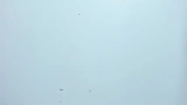 emma ayala online show from November 25, 8:53 pm