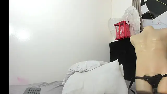 sophia arevalo online show from March 28, 8:36 am