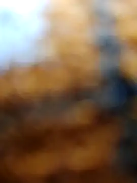 Rashili jaan online show from October 1, 4:01 pm