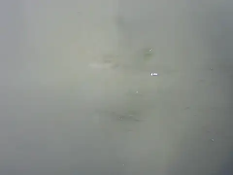 Ritu9 online show from April 18, 7:58 pm