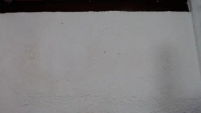 alise coronado online show from November 6, 12:33 pm