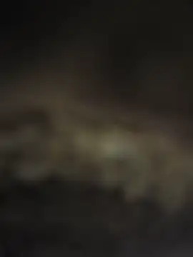 Aarushi sexy online show from June 29, 4:41 am