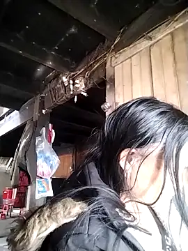 Samdim23 online show from December 23, 2:48 am