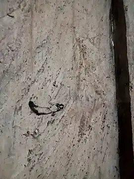 bonnie-00 online show from November 5, 9:36 am