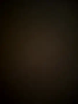 SienaWild online show from January 11, 4:06 am