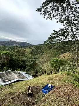 sky-wolves online show from September 23, 8:29 pm