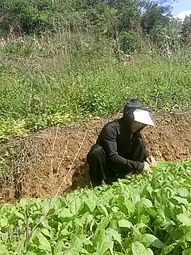 Norah-h online show from October 30, 2:25 am