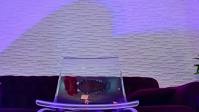 MeganSin  online show from February 19, 8:14 am