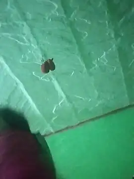 Na shreya online show from April 1, 1:50 am