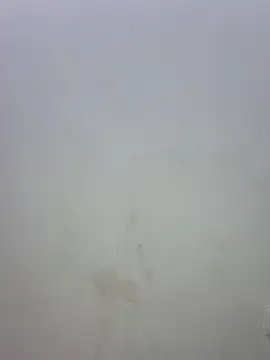 Anyhot latina online show from November 12, 12:08 am