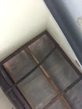 Venusasss online show from November 25, 3:03 pm