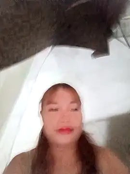 Rabbit-small online show from December 23, 12:58 am