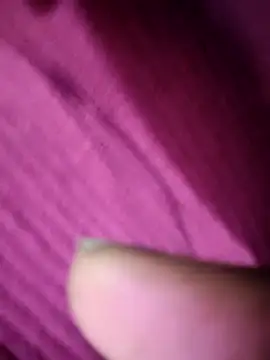 World Top Girl online show from November 3, 10:58 pm