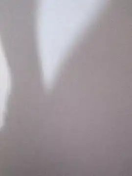 Tanha18 online show from February 17, 12:59 pm