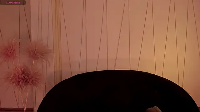 ChristineFord  online show from November 24, 2:30 pm