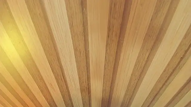 mia  blaze   online show from January 13, 3:01 am