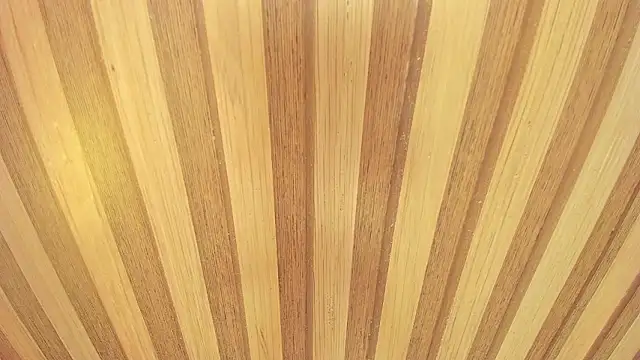 mia  blaze   online show from February 17, 2:55 am