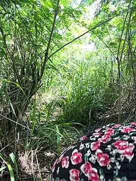 couplesexroom online show from November 21, 7:54 am