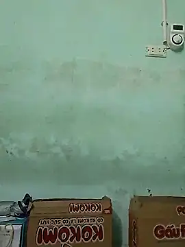  LAN  online show from November 11, 1:01 am