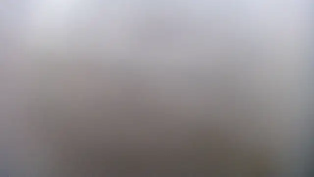 victoria 243 online show from January 14, 9:03 am