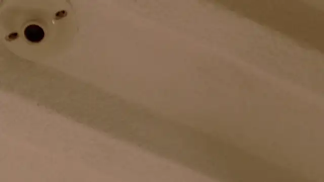 Zara Nova online show from December 17, 11:31 pm