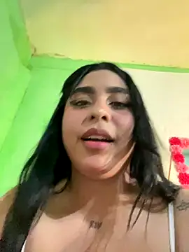 Belka14 online show from November 20, 5:52 am