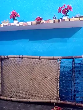 palakshar online show from December 19, 5:32 am