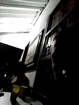 linahotlatina online show from November 12, 4:10 am