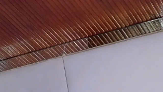 LannyShell online show from February 26, 5:23 pm