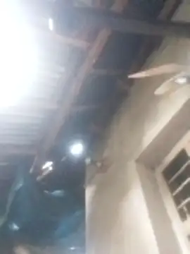 jacka 305 online show from January 17, 3:14 am